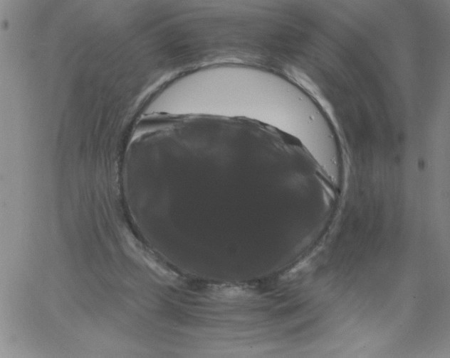 X0000066110249200604071854