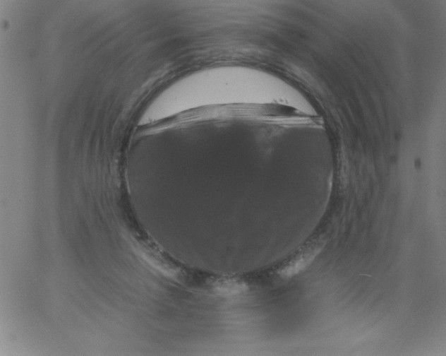 X0000066110258200604071854