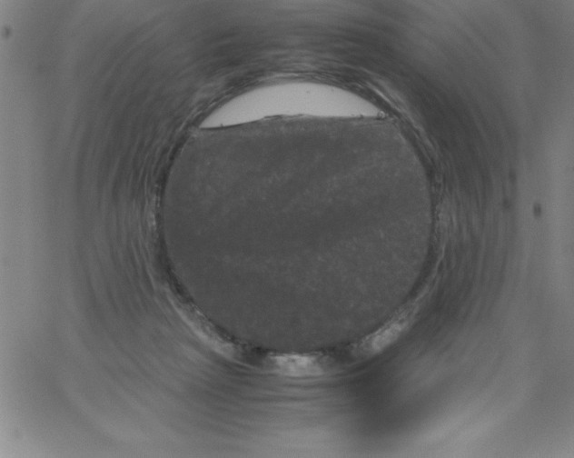 X0000066110265200604071854