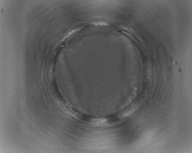 X0000066110266200604071854