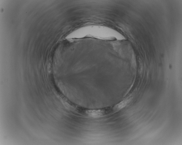 X0000066110273200604071854
