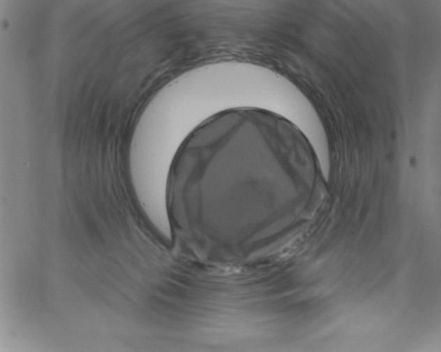 X0000066110276200604071855