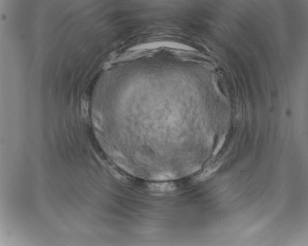 X0000066110281200604071855