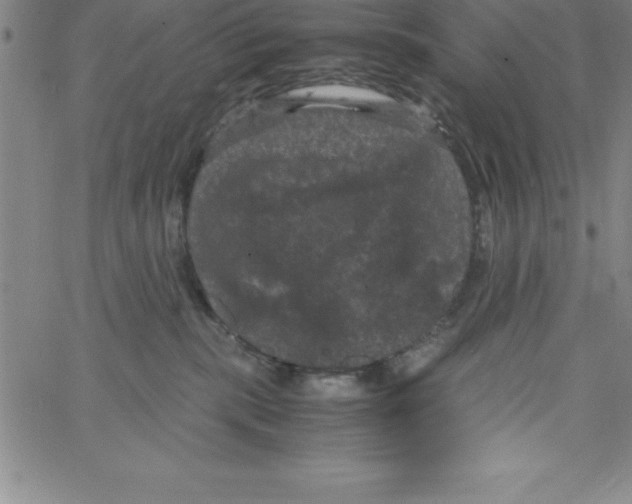 X0000066110283200604071855