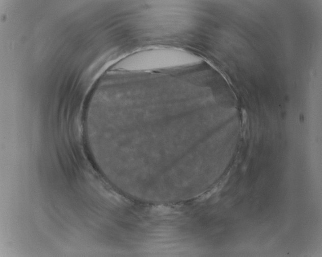 X0000066110290200604071854