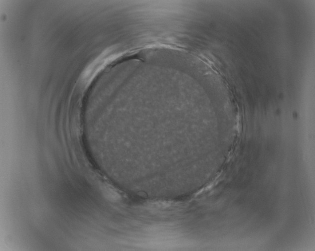 X0000066110291200604071854