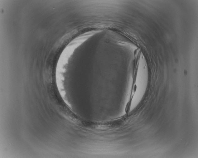 X0000066110303200604071854