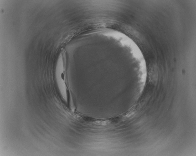 X0000066110314200604071854