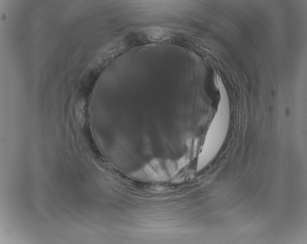 X0000066110319200604071853
