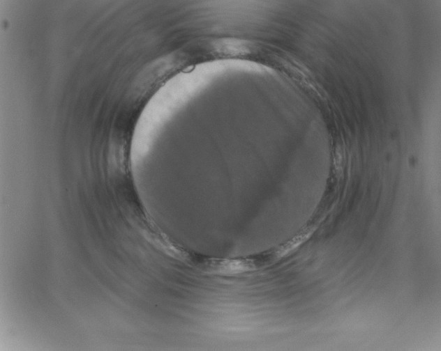 X0000066110330200604071853