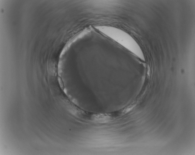 X0000066110331200604071853