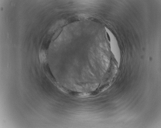 X0000066110335200604071853
