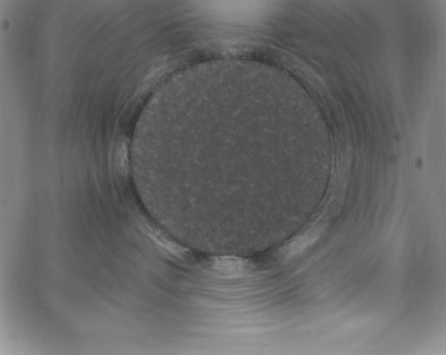 X0000066110336200604071853