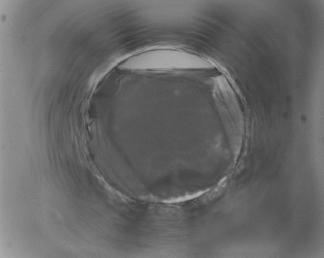 X0000066110337200604071852