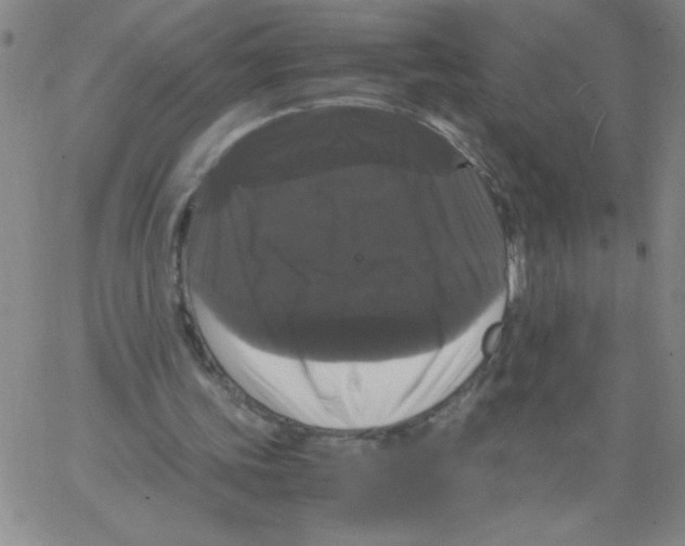 X0000066110339200604071852
