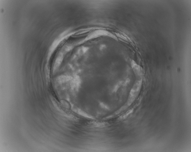 X0000066110343200604071853