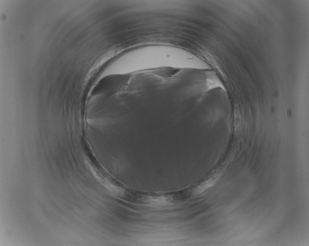 X0000066110349200604071853