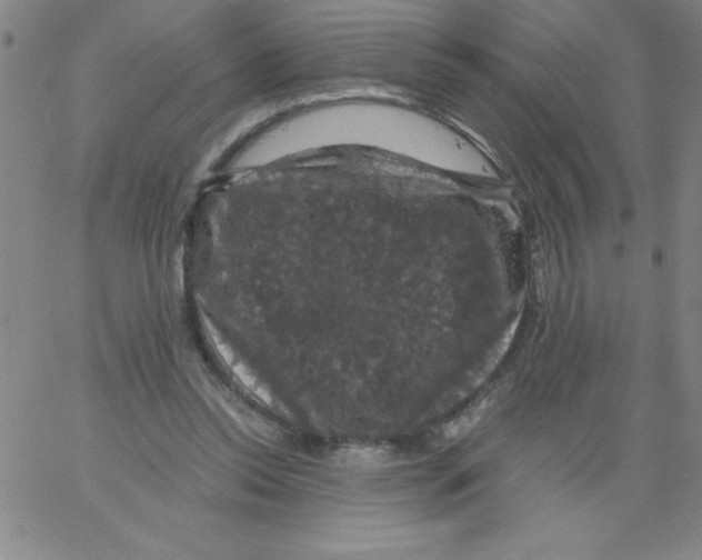 X0000066110350200604071853