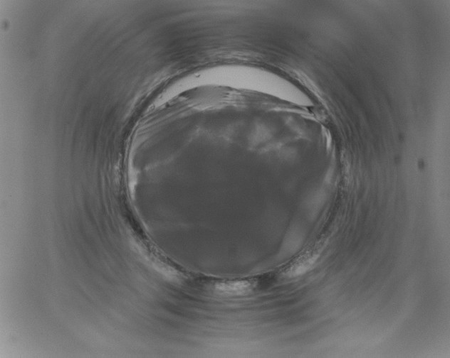 X0000066110357200604071853