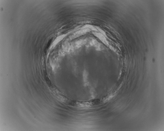 X0000066110359200604071853