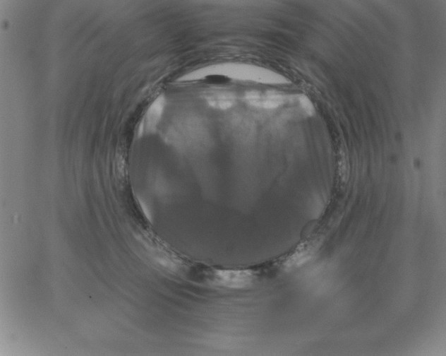 X0000066110371200604071853