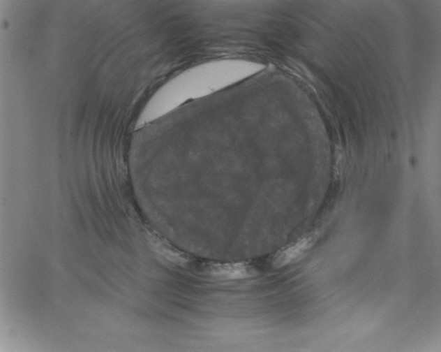 X0000066110377200604071853