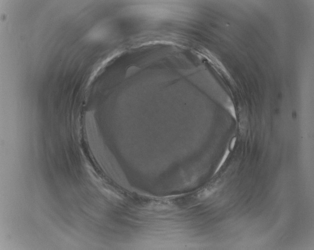 X0000066110386200604071852