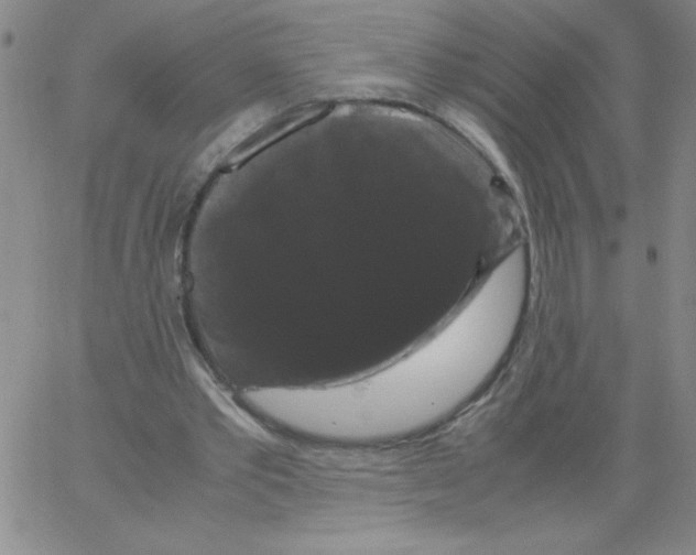 X0000066110389200604071852