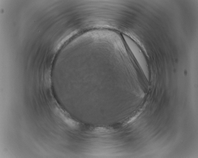 X0000066110390200604071852