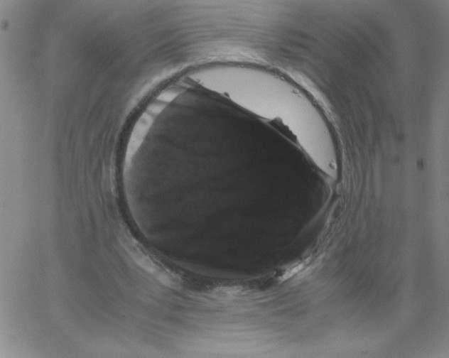 X0000066110391200604071852