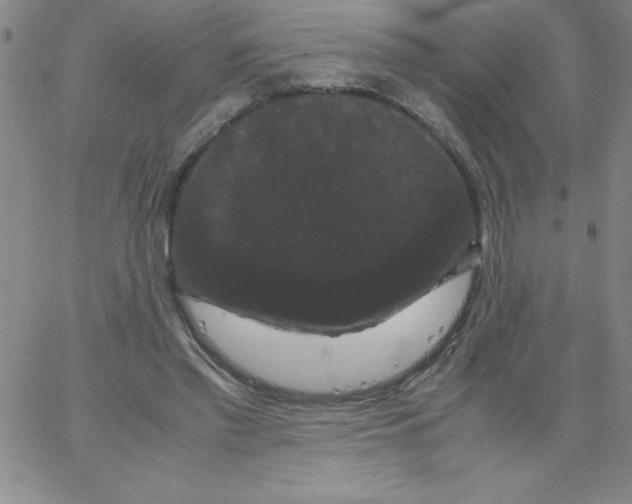 X0000066110397200604071852