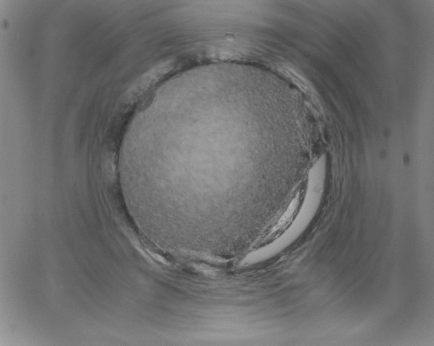 X0000066110401200604071852