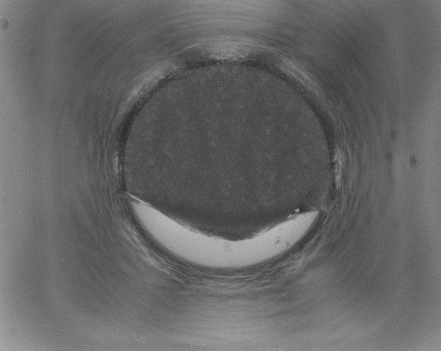 X0000066110407200604071852