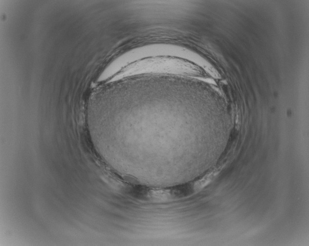 X0000066110413200604071852