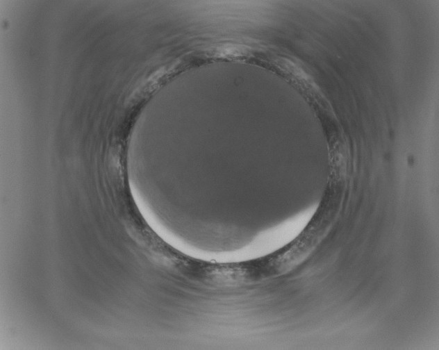 X0000066110415200604071852