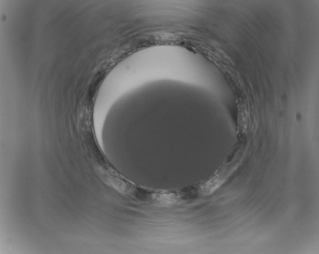 X0000066110419200604071852