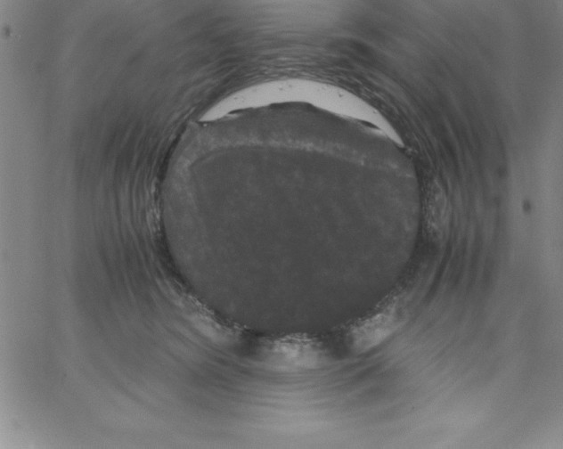 X0000066110420200604071852