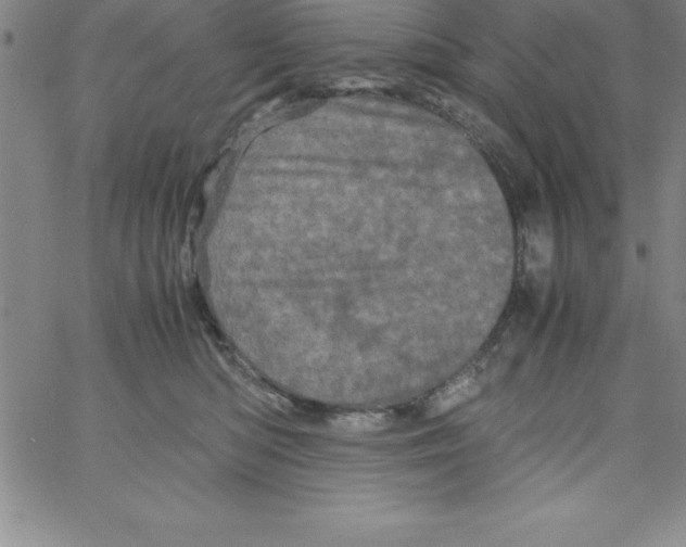 X0000066110422200604071852