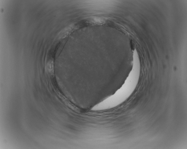 X0000066110425200604071852