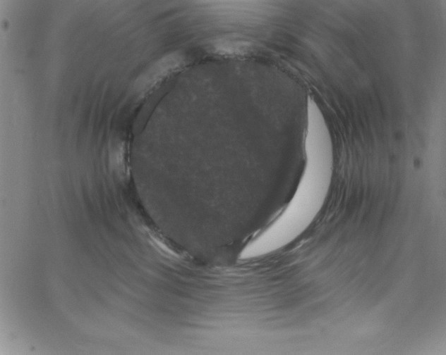 X0000066110428200604071852