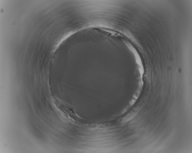 X0000066110434200604071851