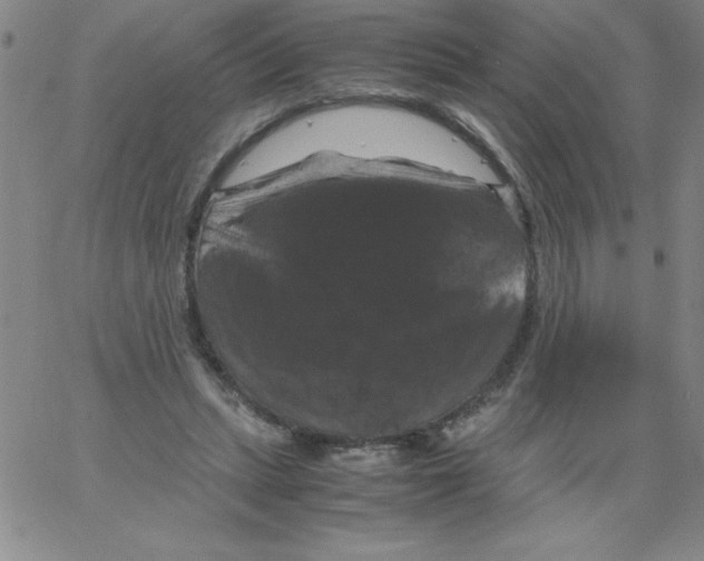 X0000066110447200604071851