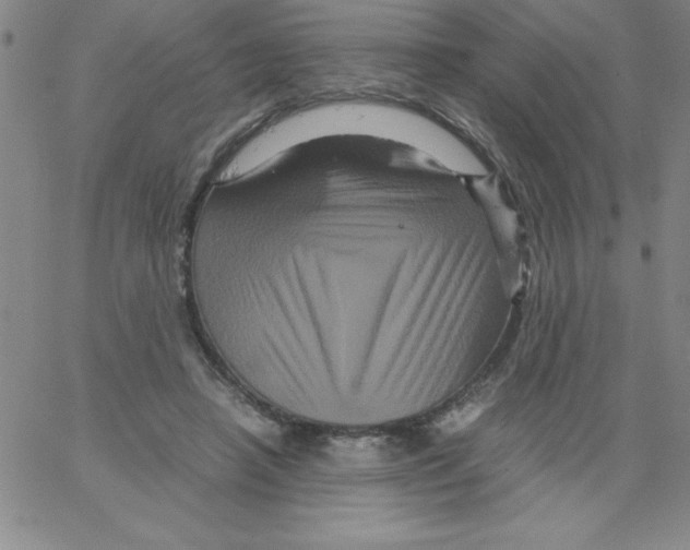 X0000066110450200604071851