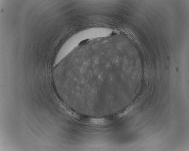 X0000066110457200604071851