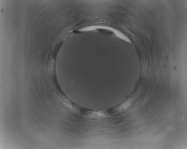 X0000066110475200604071852