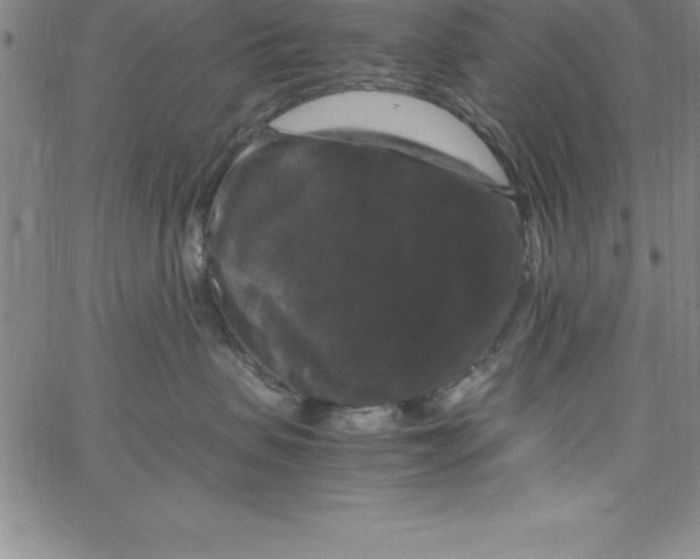 X0000066110479200604071852