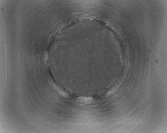 X0000066110480200604071852