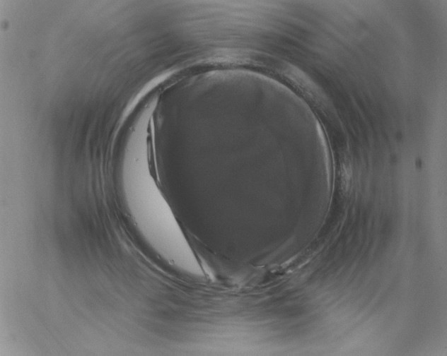 X0000066110484200604071851