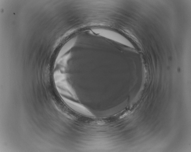 X0000066110492200604071851