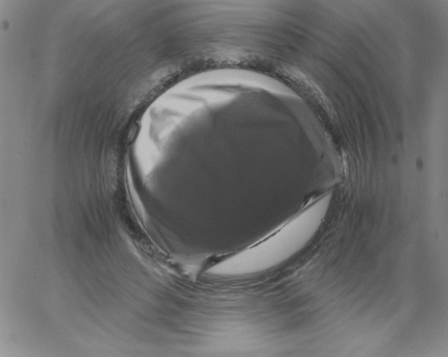 X0000066110496200604071851